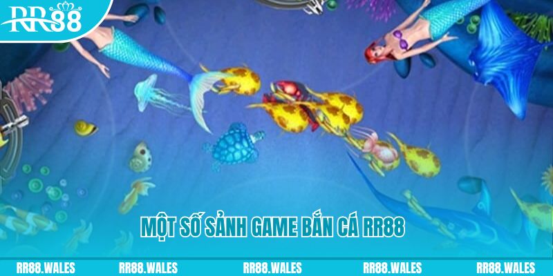 viva88 net casino ĐĂNG NHẬP